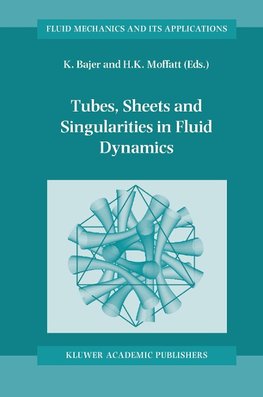 Tubes, Sheets and Singularities in Fluid Dynamics