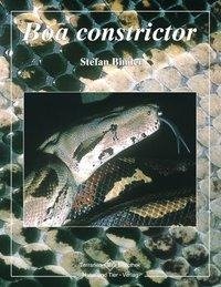 Boa constrictor