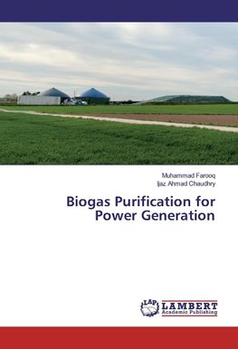 Biogas Purification for Power Generation