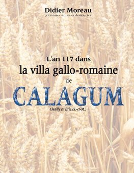 L'an 117 dans la villa gallo-romaine de Calagum