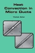 Heat Convection in Micro Ducts