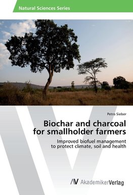 Biochar and charcoal for smallholder farmers