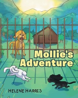 Mollie's Adventure