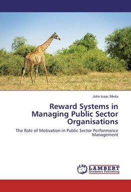 Reward Systems in Managing Public Sector Organisations