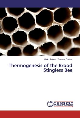 Thermogenesis of the Brood Stingless Bee