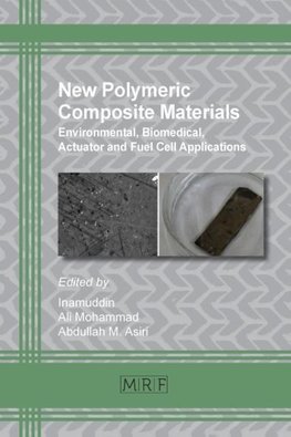 New Polymeric Composite Materials