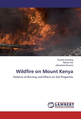 Wildfire on Mount Kenya