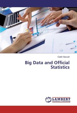 Big Data and Official Statistics