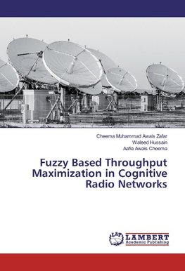 Fuzzy Based Throughput Maximization in Cognitive Radio Networks