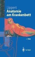 Anatomie am Krankenbett