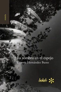 La sombra en el espejo. Versiones japonesas