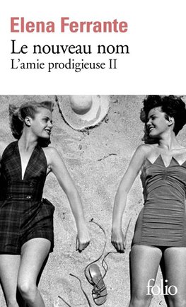 Le nouveau nom. L'amie prodigieuse 2