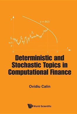 Ovidiu, C:  Deterministic And Stochastic Topics In Computati