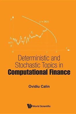 Ovidiu, C:  Deterministic And Stochastic Topics In Computati