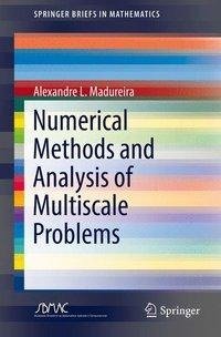 Madureira, A: Numerical Methods and Analysis of Multiscale