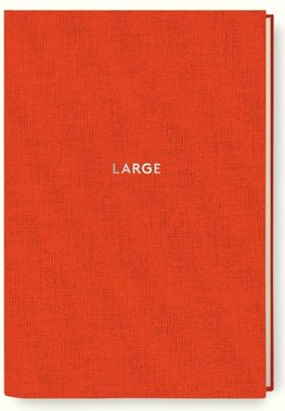 Diogenes Notes - large