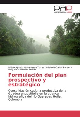 Formulación del plan prospectivo y estratégico