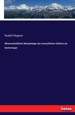 Wissenschaftliche Morphologie des menschlichen Gehirns als Seelenorgan