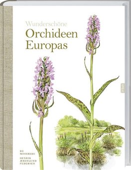 Wunderschöne Orchideen Europas