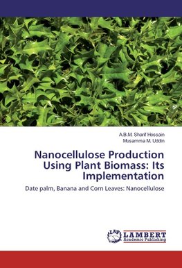 Nanocellulose Production Using Plant Biomass: Its Implementation