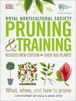 Pruning & Training