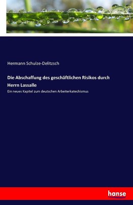 Die Abschaffung des geschäftlichen Risikos durch Herrn Lassalle