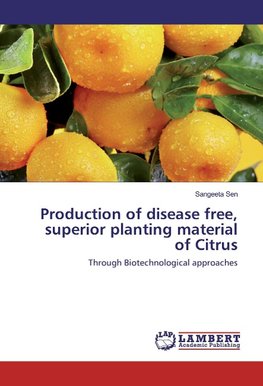 Production of disease free, superior planting material of Citrus