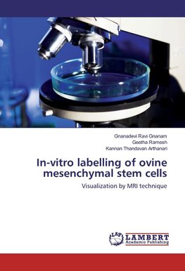 In-vitro labelling of ovine mesenchymal stem cells