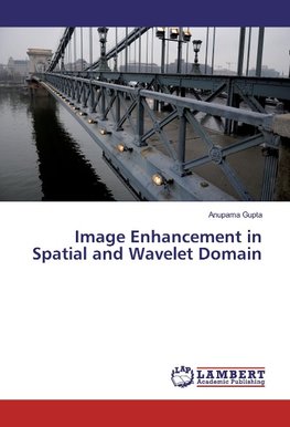 Image Enhancement in Spatial and Wavelet Domain