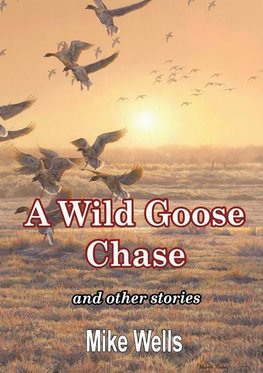 A Wild Goose Chase