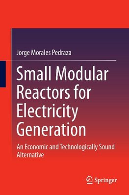 Small Modular Reactors for Electricity Generation