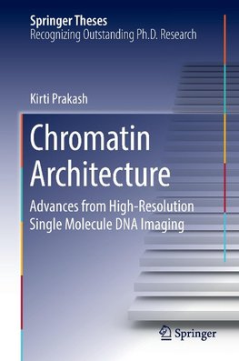 Chromatin Architecture