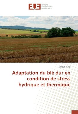 Adaptation du blé dur en condition de stress hydrique et thermique