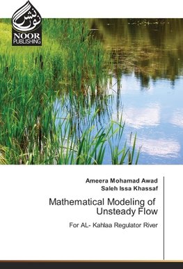 Mathematical Modeling of Unsteady Flow