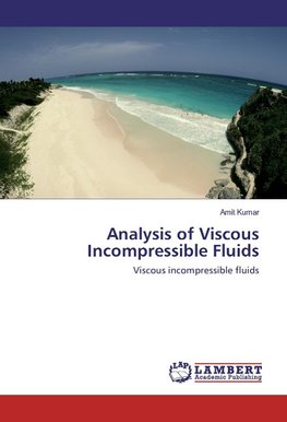 Analysis of Viscous Incompressible Fluids