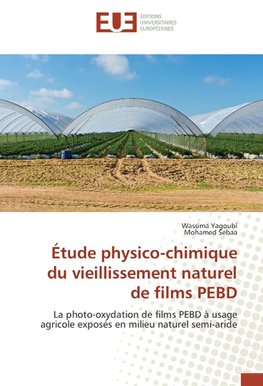 Étude physico-chimique du vieillissement naturel de films PEBD