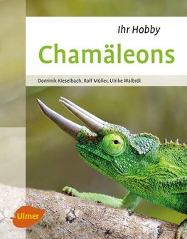 Chamäleons