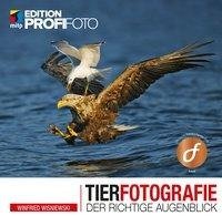 Tierfotografie