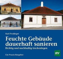 Feuchte Gebäude dauerhaft sanieren