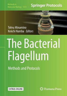 The Bacterial Flagellum