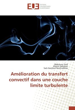 Amélioration du transfert convectif dans une couche limite turbulente