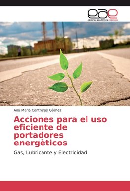 Acciones para el uso eficiente de portadores energèticos