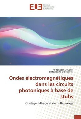 Ondes électromagnétiques dans les circuits photoniques à base de stubs