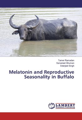 Melatonin and Reproductive Seasonality in Buffalo