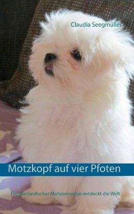 Motzkopf auf vier Pfoten