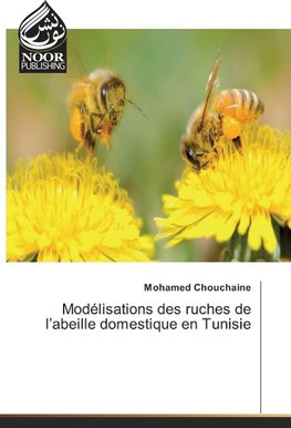 Modélisations des ruches de l'abeille domestique en Tunisie