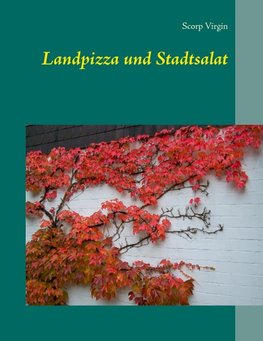 Landpizza und Stadtsalat