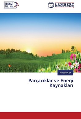 Parçaciklar ve Enerji Kaynaklari