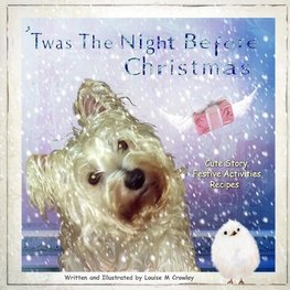 STARLETT'S SECRET ~ 'TWAS THE NIGHT BEFORE CHRISTMAS