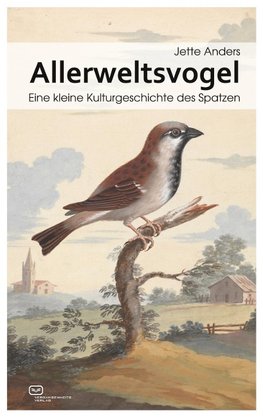 Allerweltsvogel